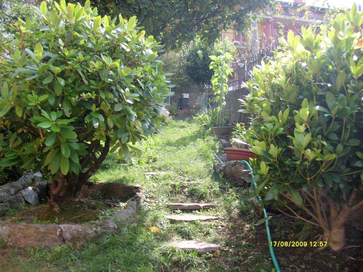 House Yanina Apartment Bellano Exterior photo